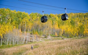 5 Hikes to See Fall Foliage in Aspen
