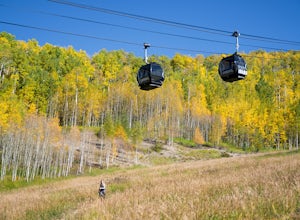 5 Hikes to See Fall Foliage in Aspen
