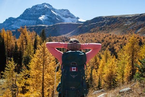 Adventurous Weekend Trips for Fall Foliage in the United States and Canada