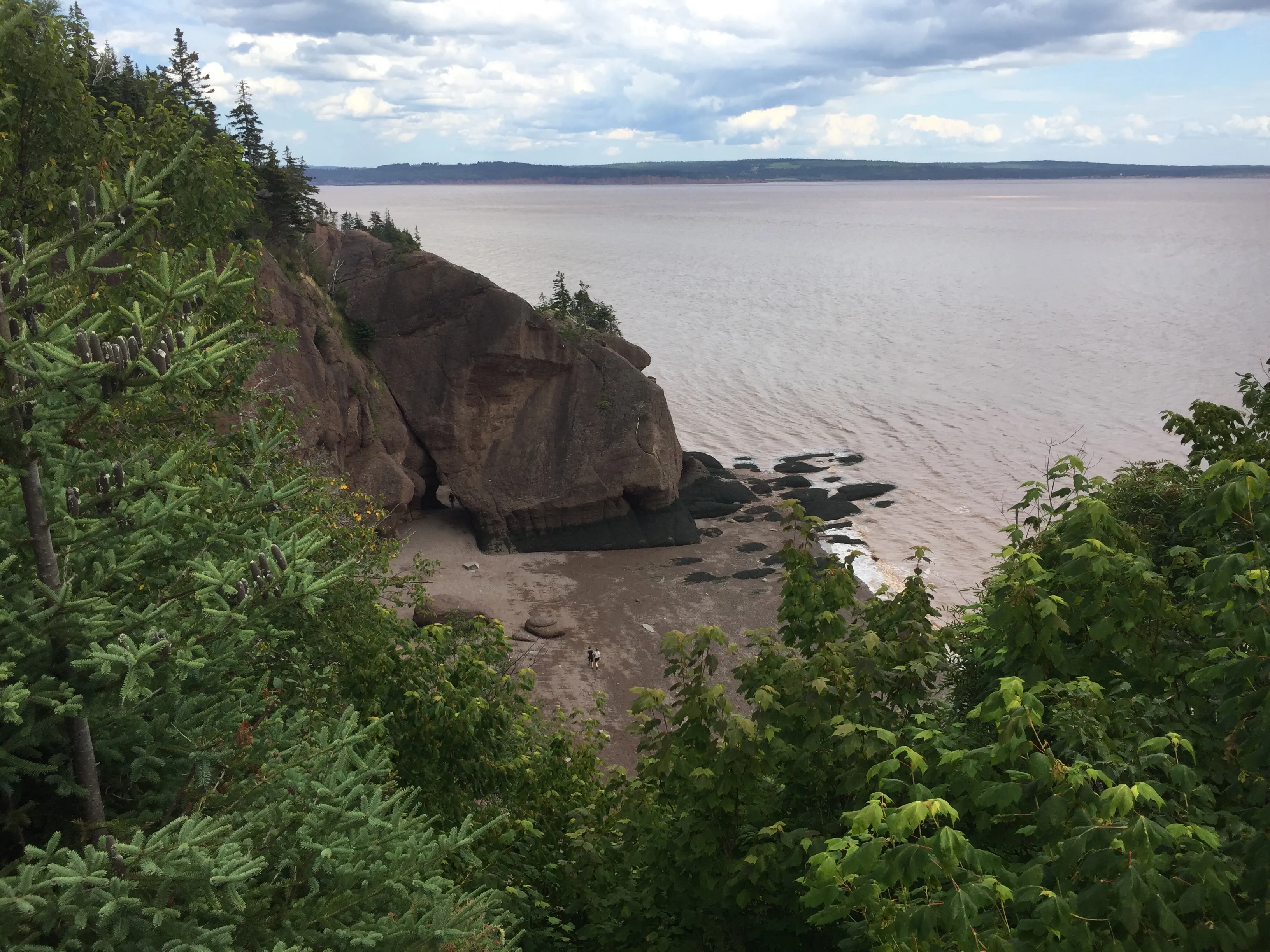 Explore Hopewell Rocks Park