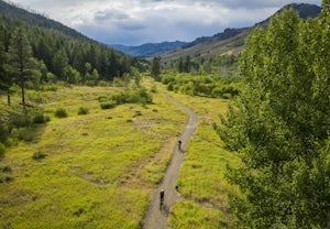 Mountain Bike the Griffin Butte Loop