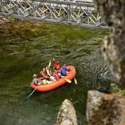 Raft Down the Salmon River