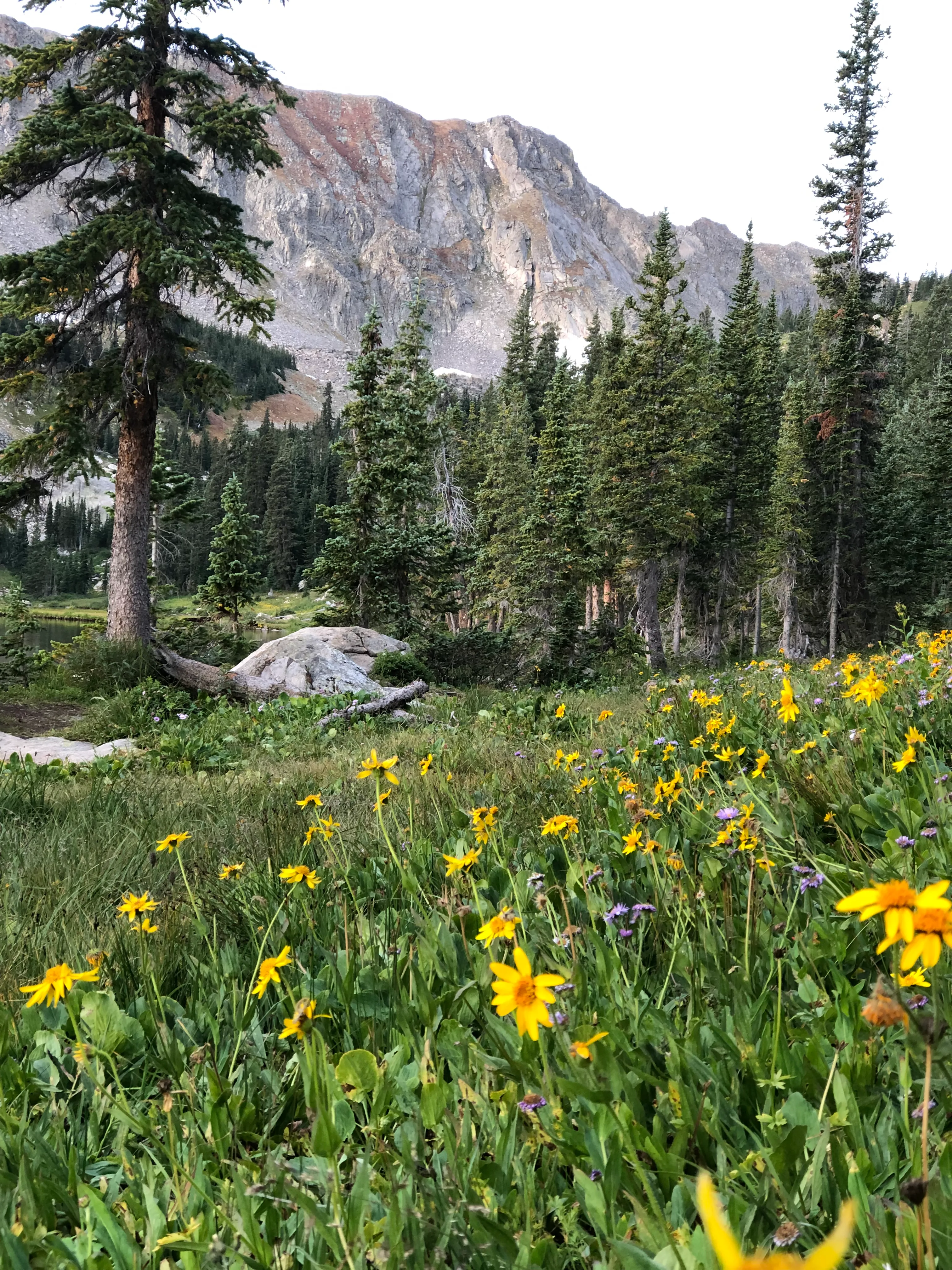 Hike to Diamond Lake in the Indian Peaks Wilderness