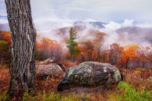 Making the Most of the Fall Colors 