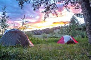 Camp at Curtis Canyon Campgrond