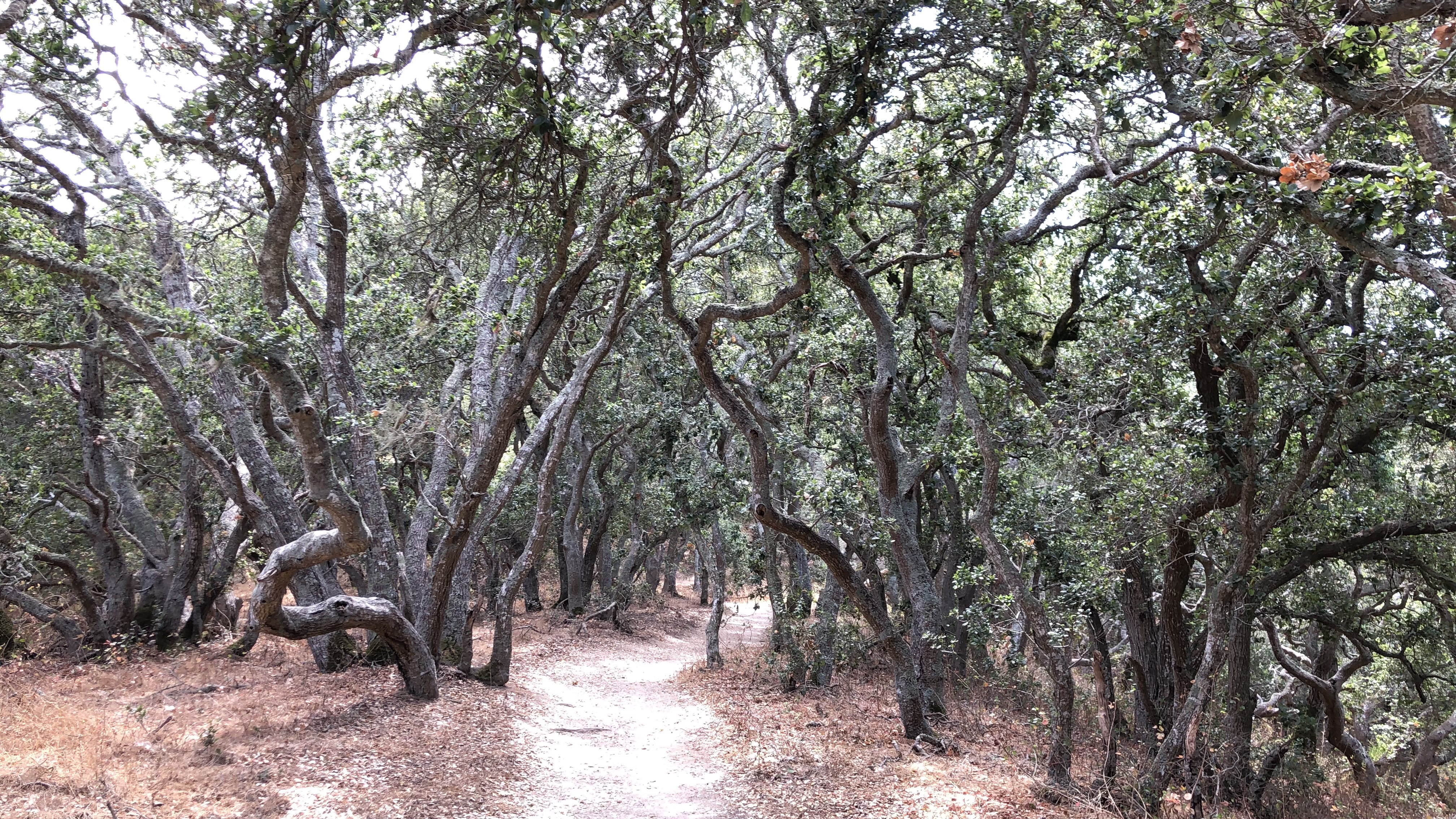 Helen Putnam Inner Loop