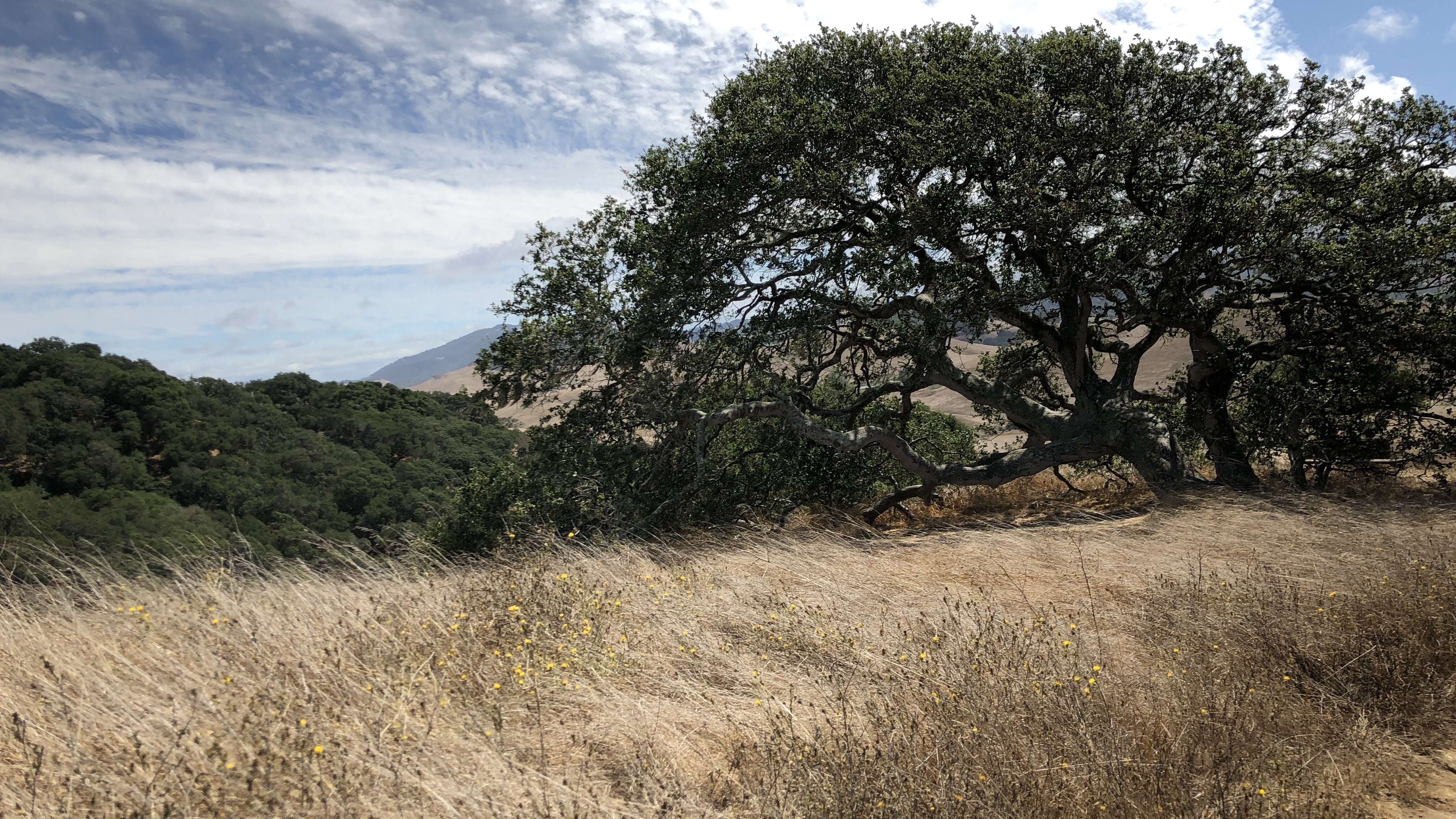 Helen Putnam Regional Park Loop