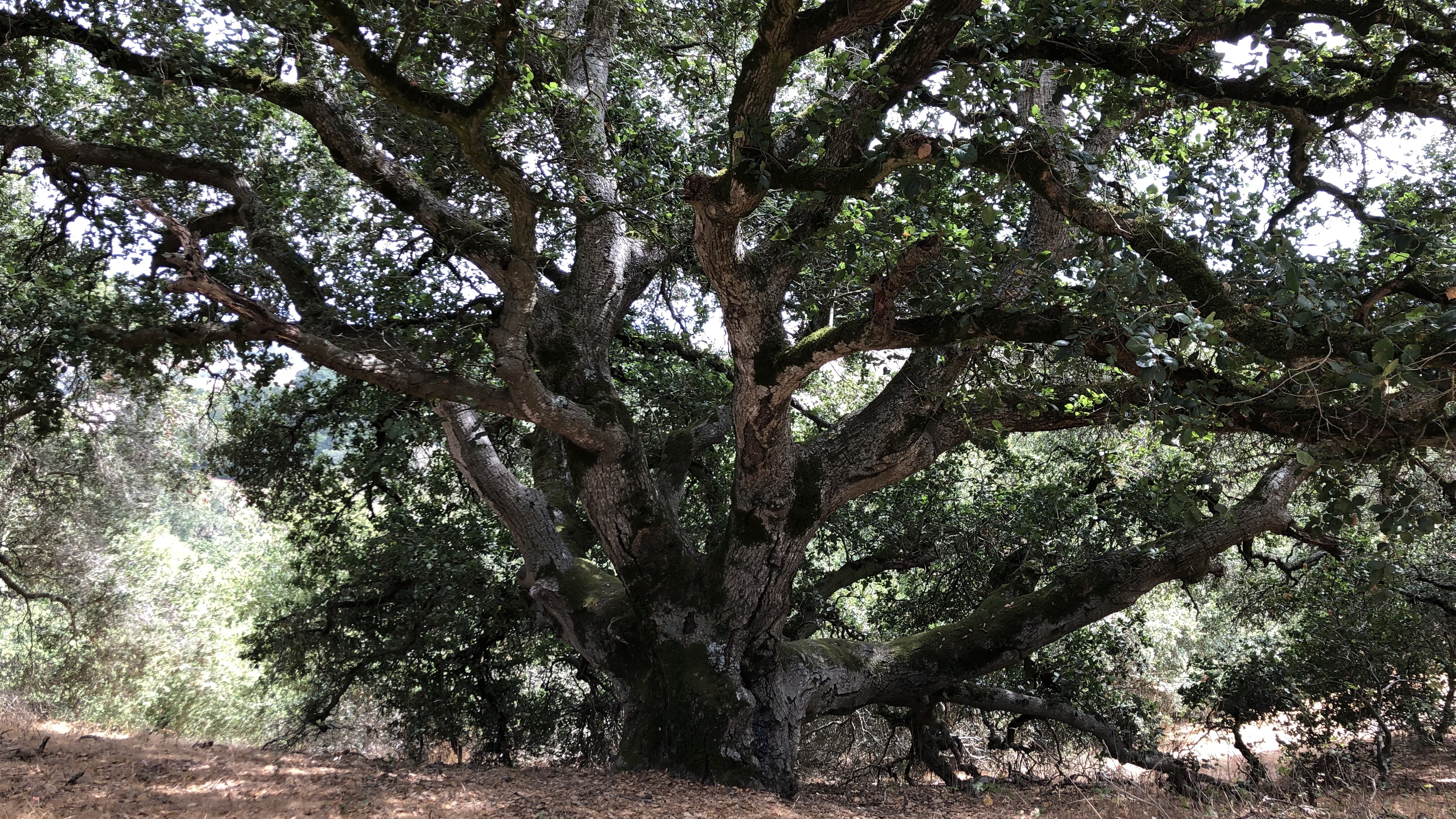Helen Putnam Regional Park Loop