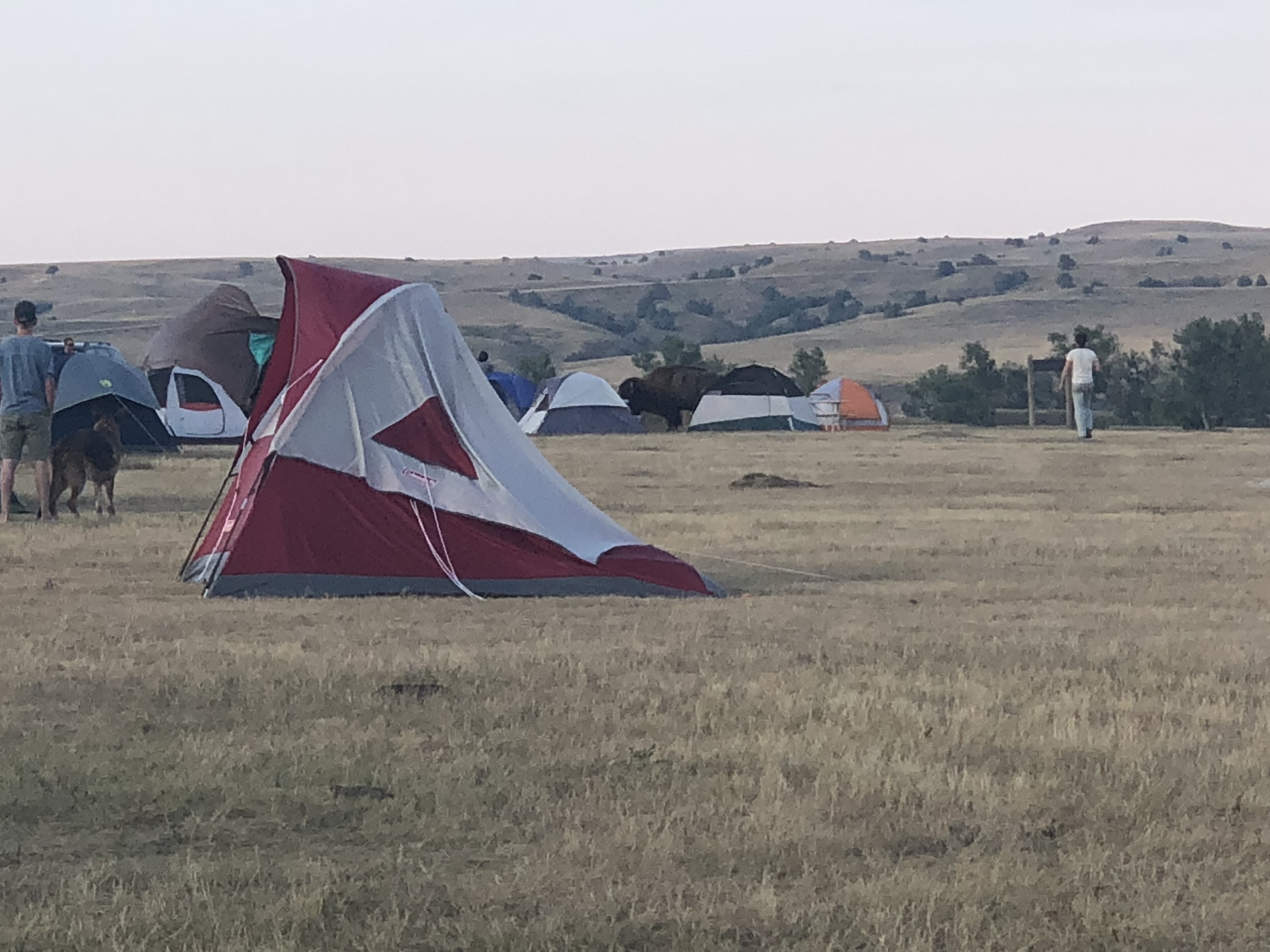 Camp at Sage Creek Campground
