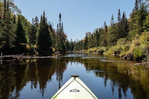 Paddle the North Branch of the Moose River
