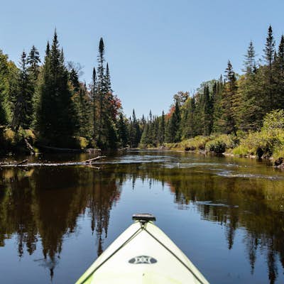 Paddle the North Branch of the Moose River
