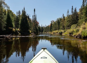 Paddle the North Branch of the Moose River
