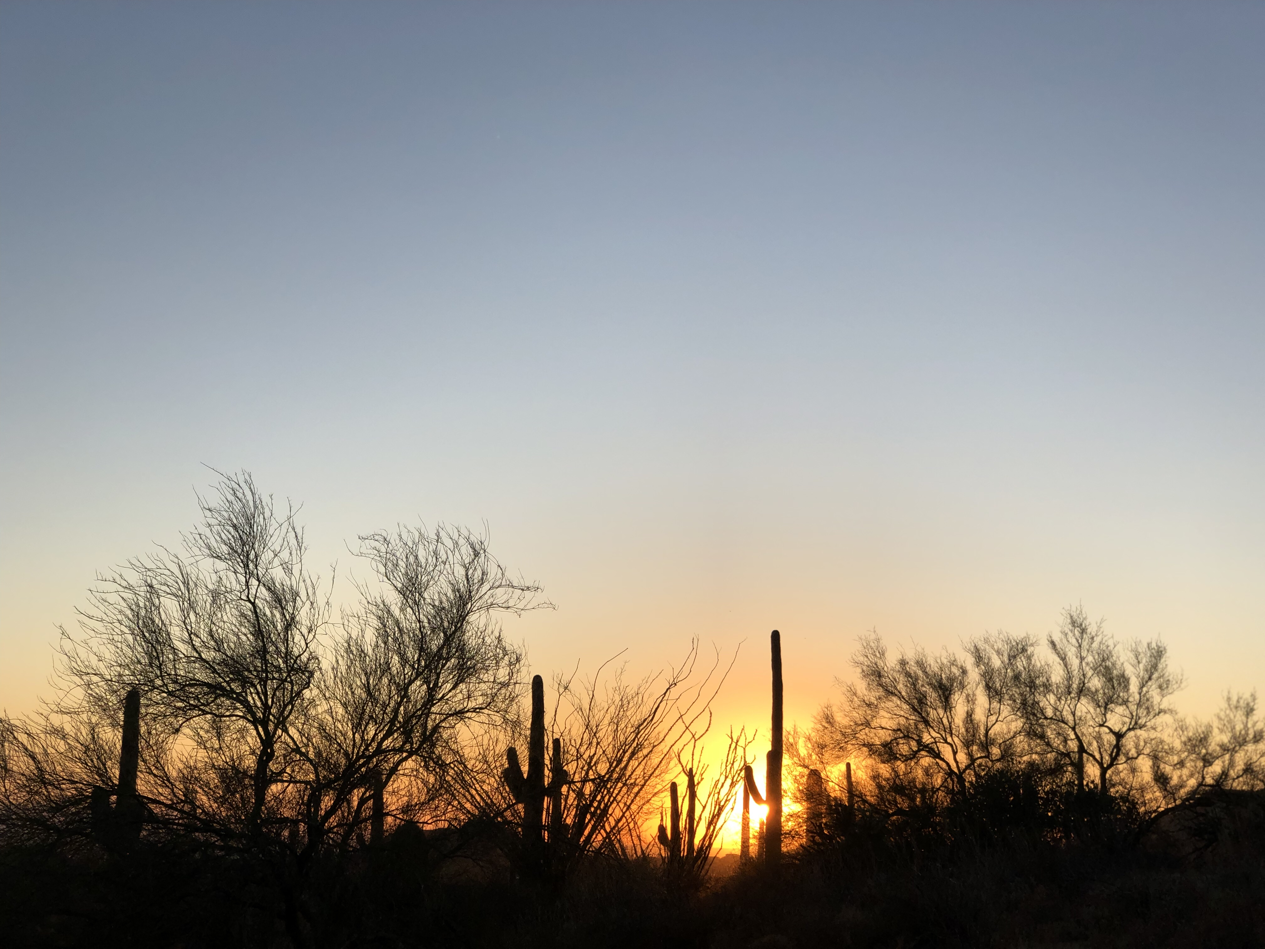 Hike the Wind Cave Trail