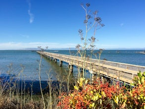 4 Paddling Adventures in Marin County