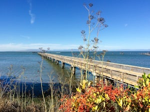 4 Paddling Adventures in Marin County