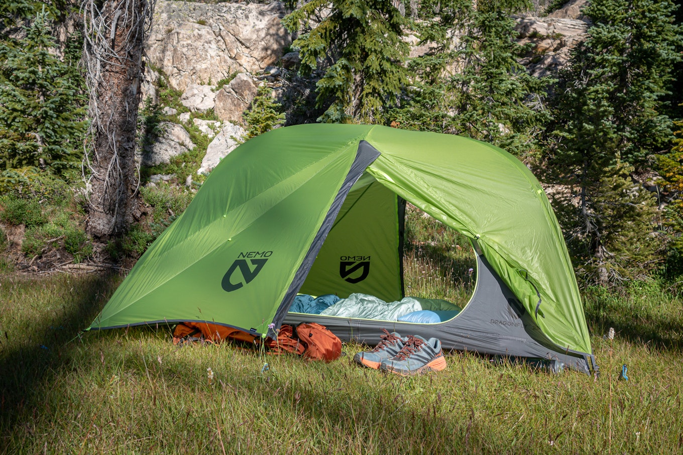 Nemo dragonfly 2024 2 tent review