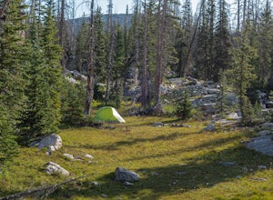Review: Nemo Equipment Dragonfly 2 Person Ultralight Backpacking Tent