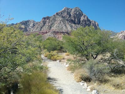 Explore Spring Mountain Ranch State Park