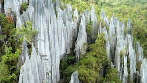 Gunung Mulu National Park and Borneo Jungle