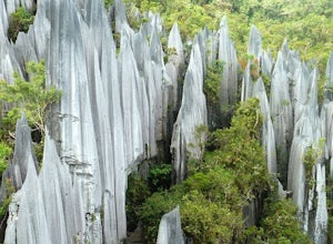 Gunung Mulu National Park and Borneo Jungle