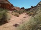 Hike the Petroglyph Canyon Trail to the Mouse's Tank