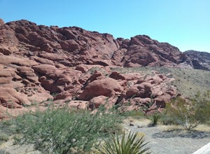 Drive the Red Rock Canyon Scenic Loop