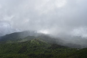 How El Yunque National Forest is still recovering from Hurricane Maria