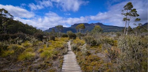 Explore the Wilderness in Tasmania