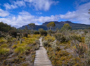 Explore the Wilderness in Tasmania
