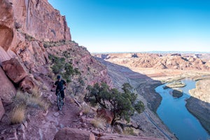 Mountain Bike Portal Trail
