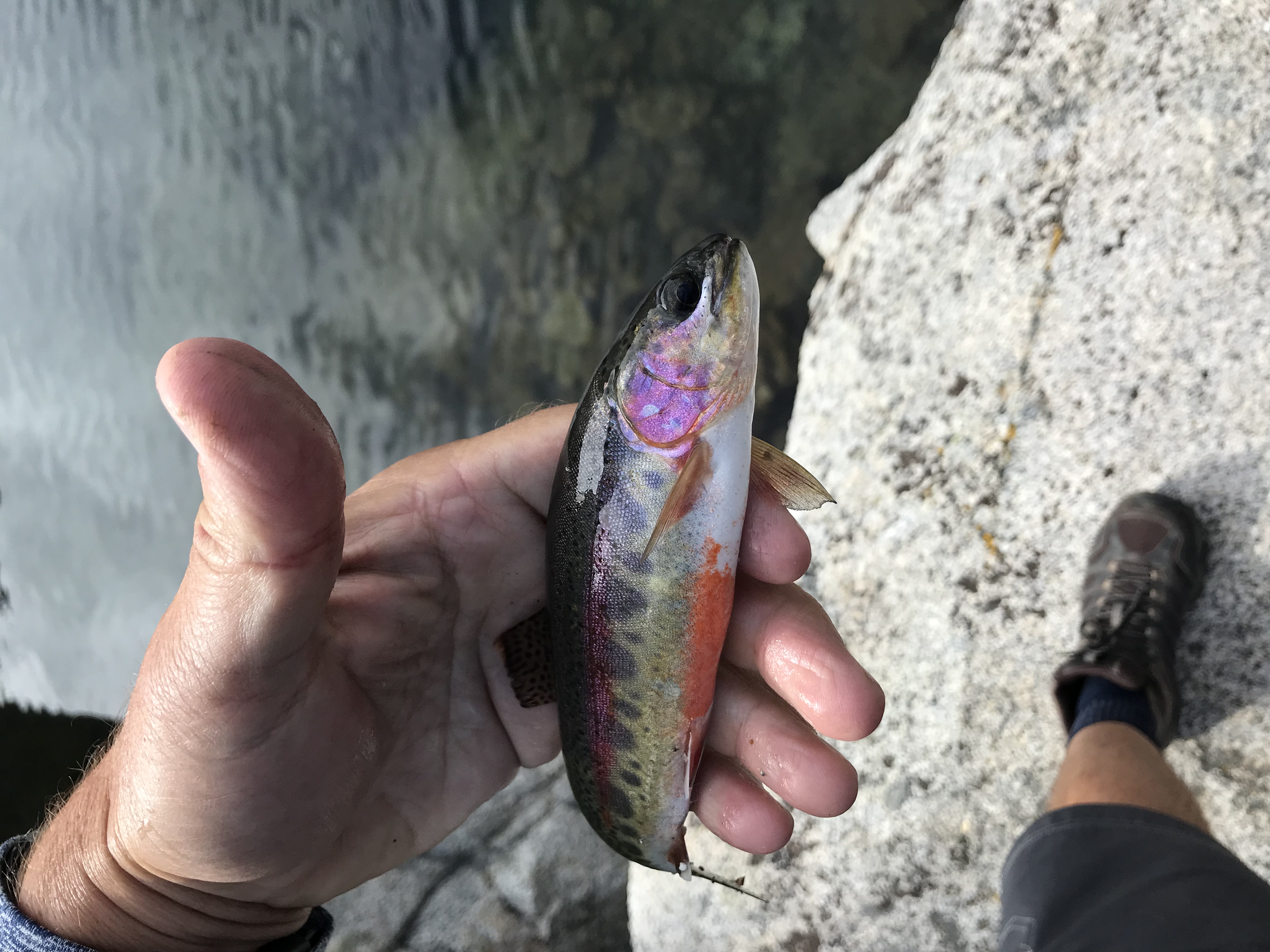 Treasure Lakes Trail 
