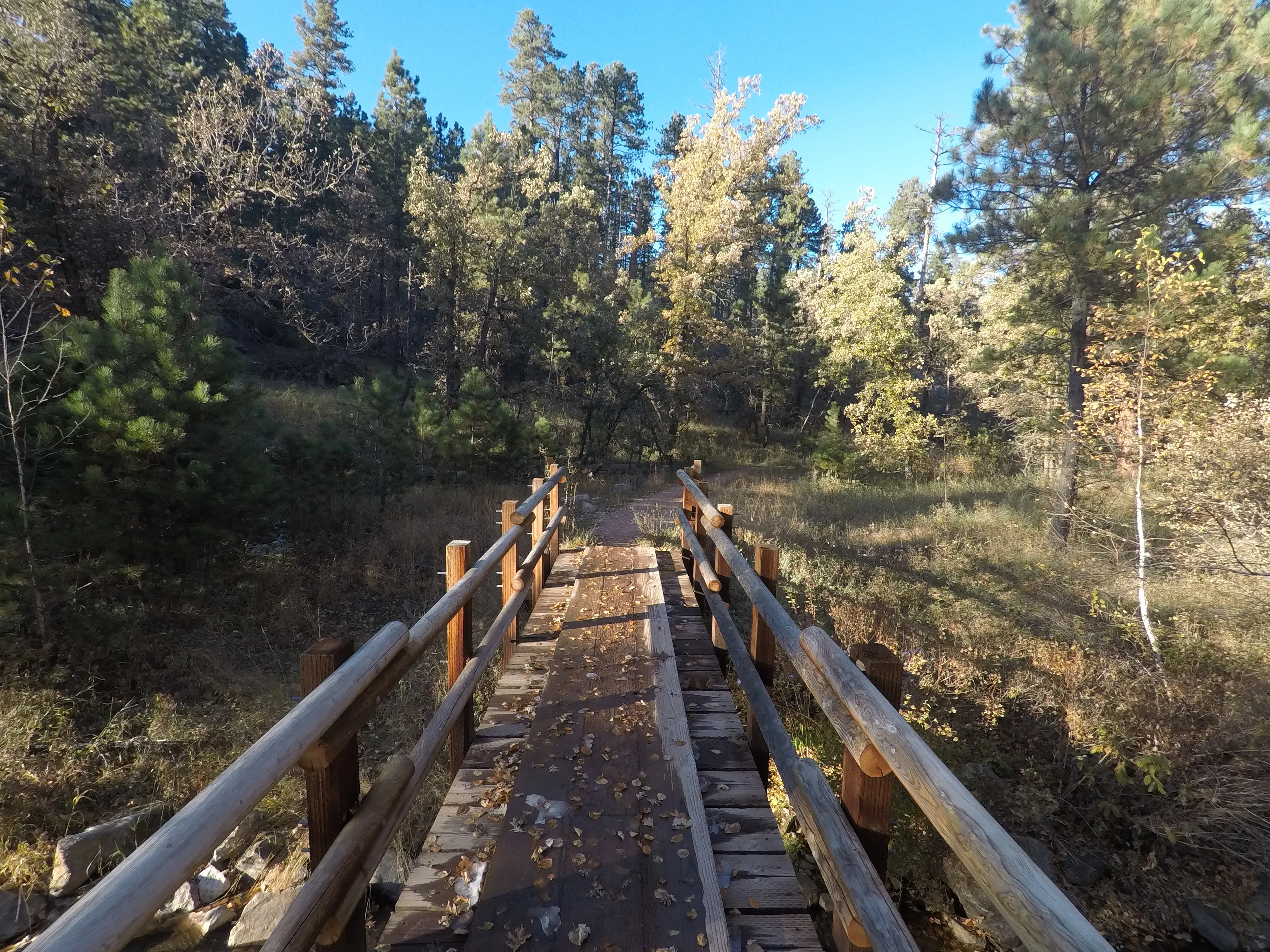 Hike Iron Creek Trail #15