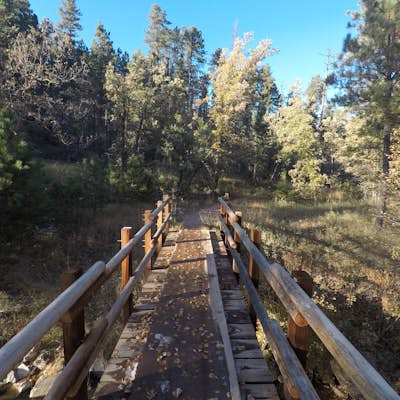 Hike Iron Creek Trail #15