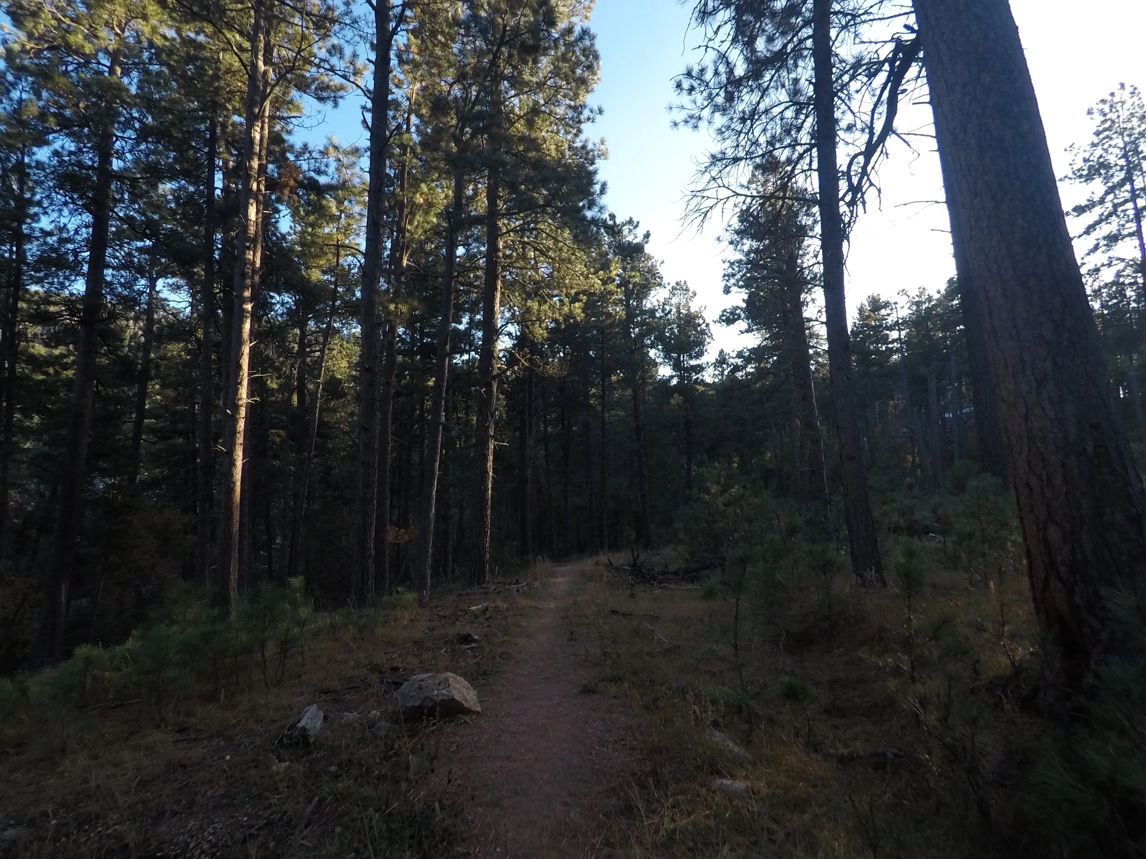 Hike Iron Creek Trail #15