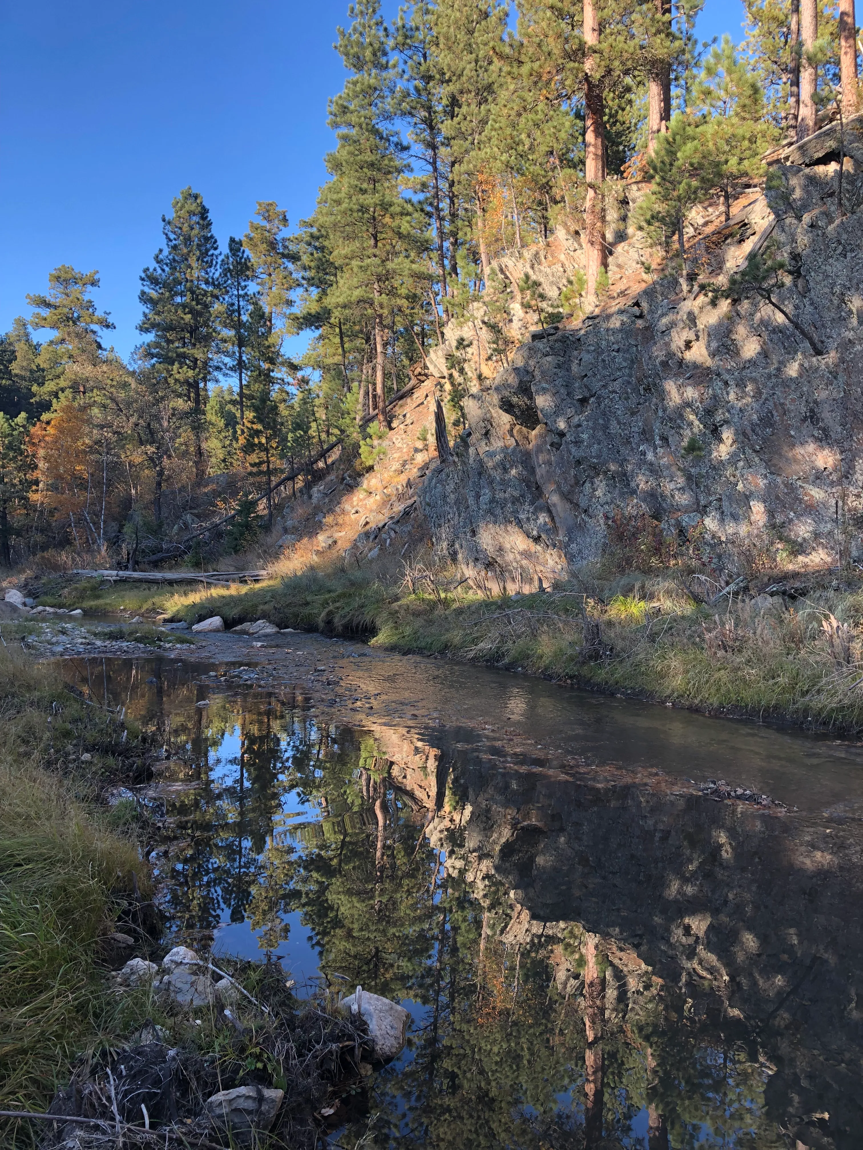 Hike Iron Creek Trail #15
