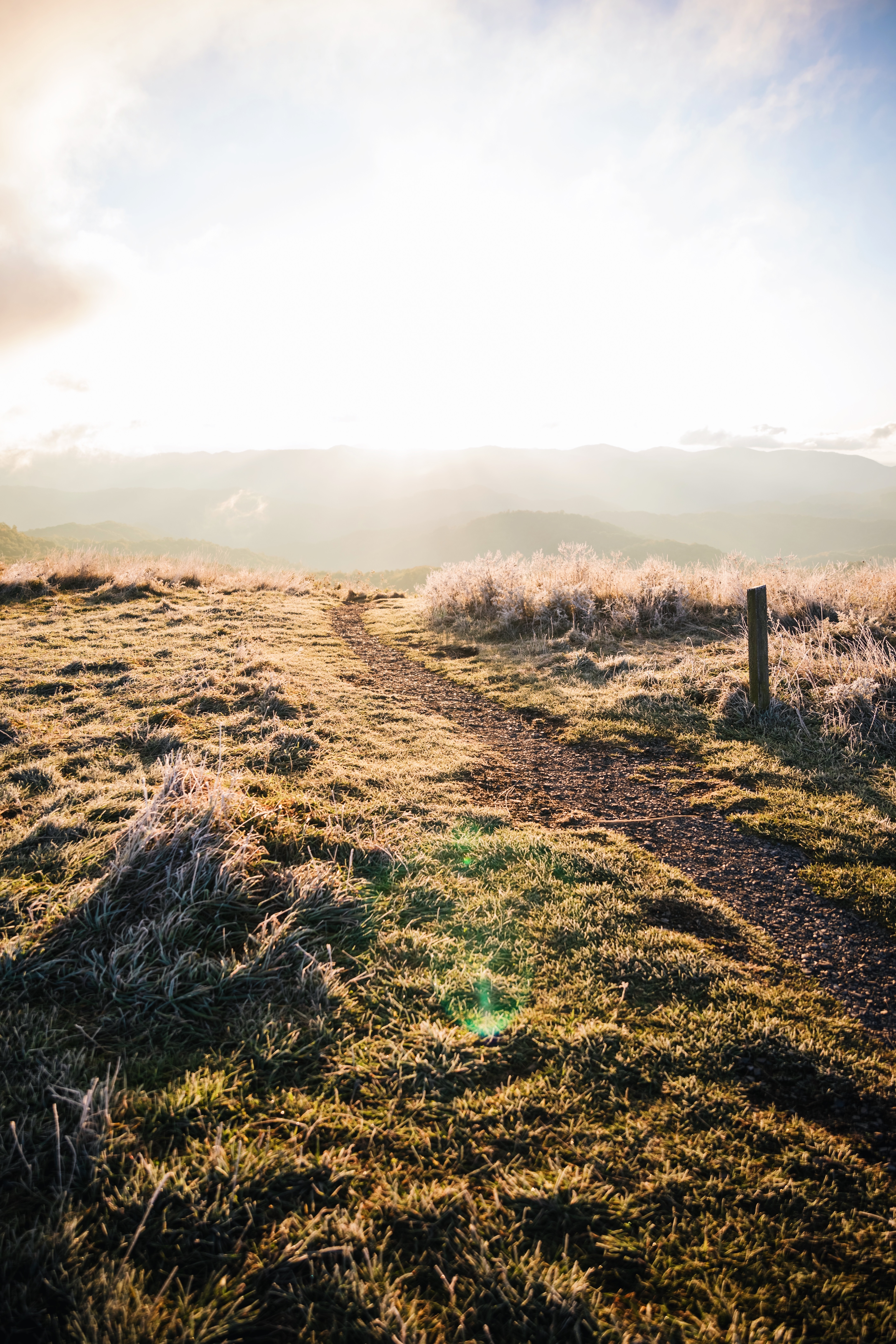 Max Patch Mountain