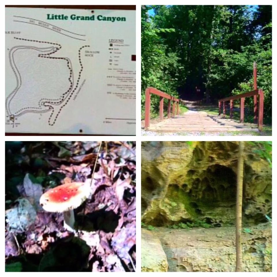 Hike the Little Grand Canyon Trail