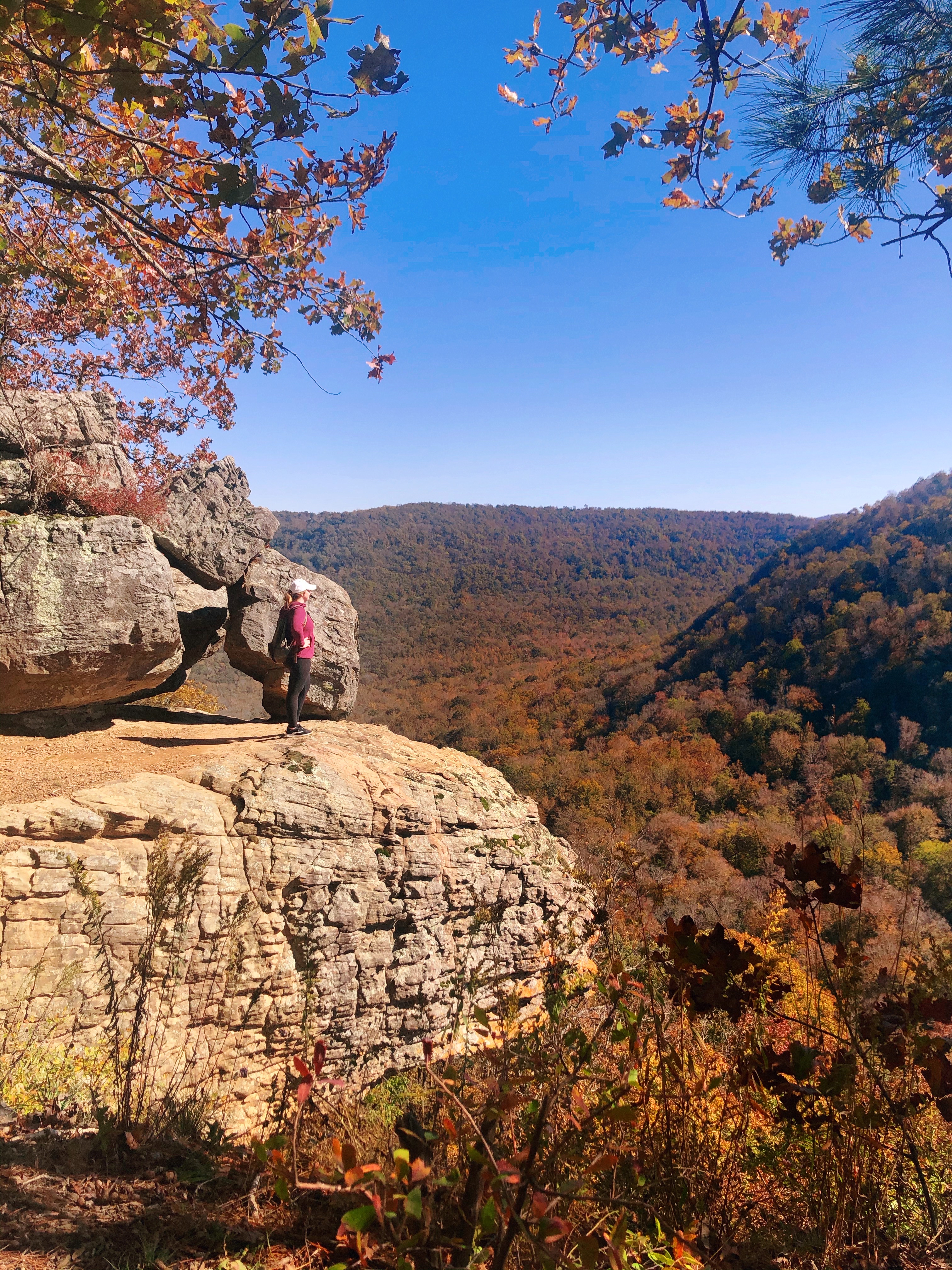 Hawksbill Crag via Whitaker Point Trail