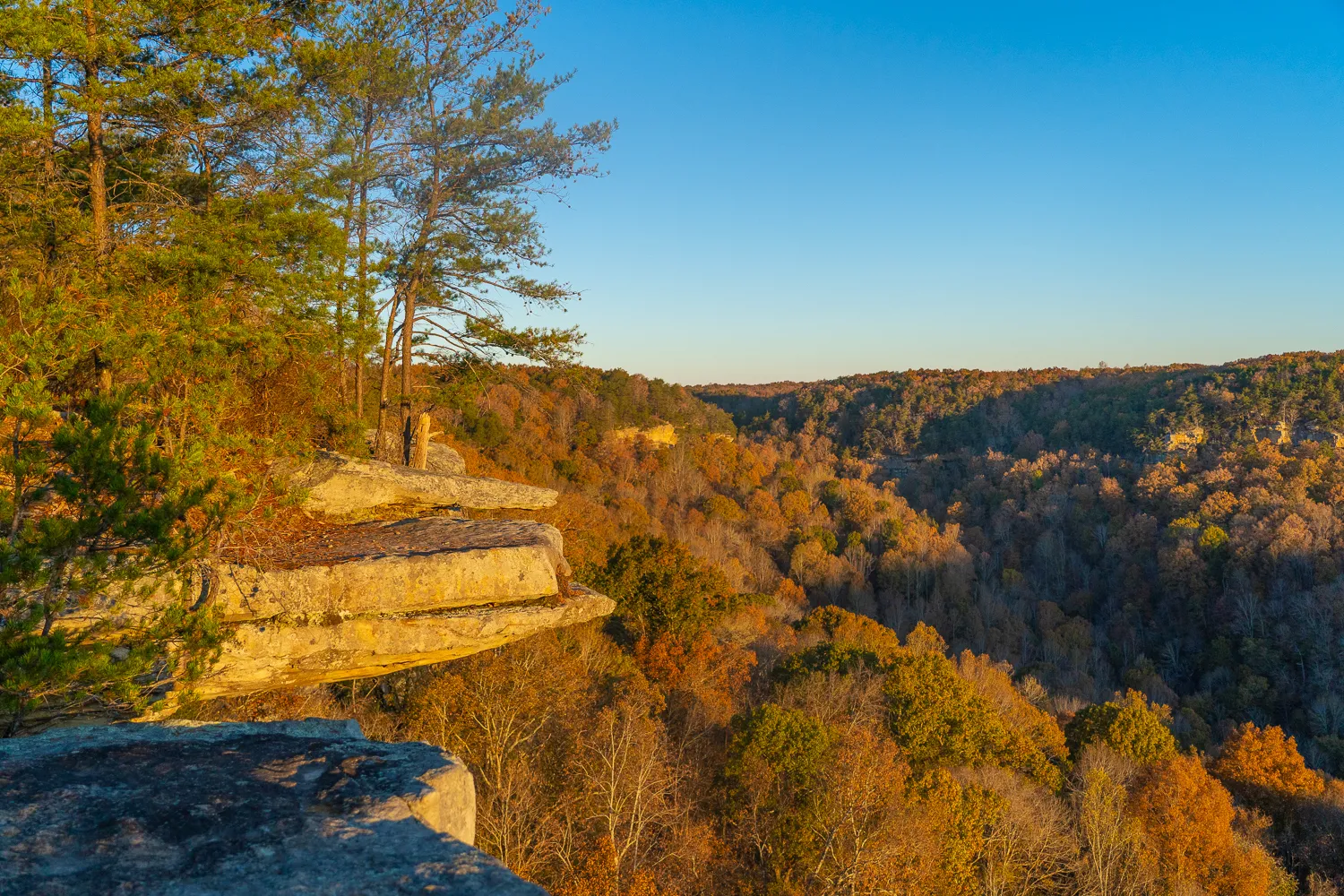 Photograph Buzzard's Roost Overlook