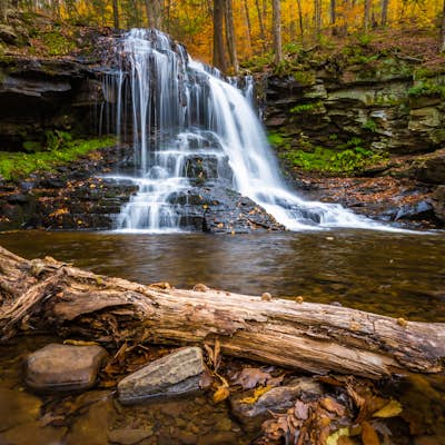Dry Run Falls in the Loyalsock State Forest