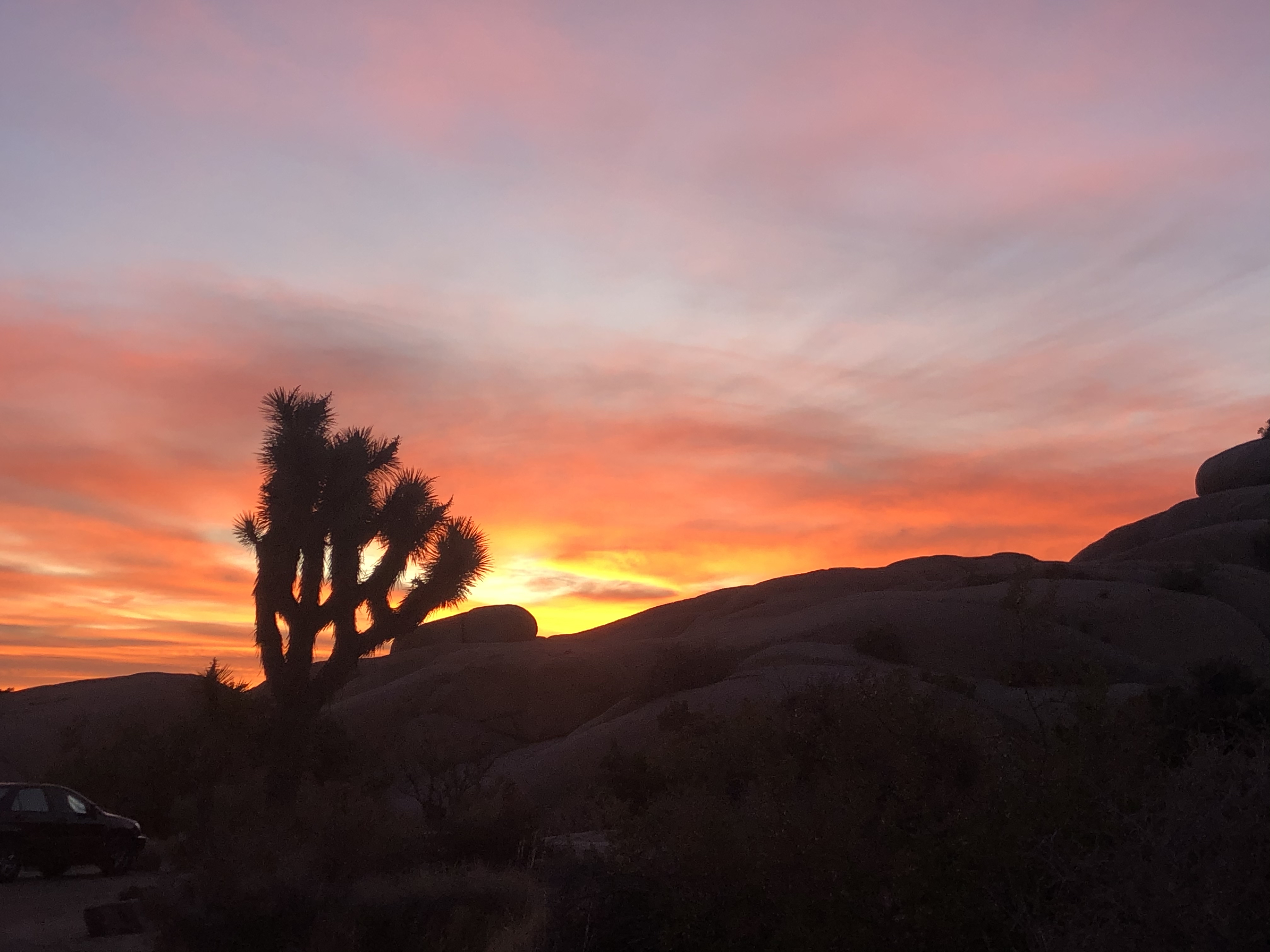 Camp at Joshua Tree's Jumbo Rocks