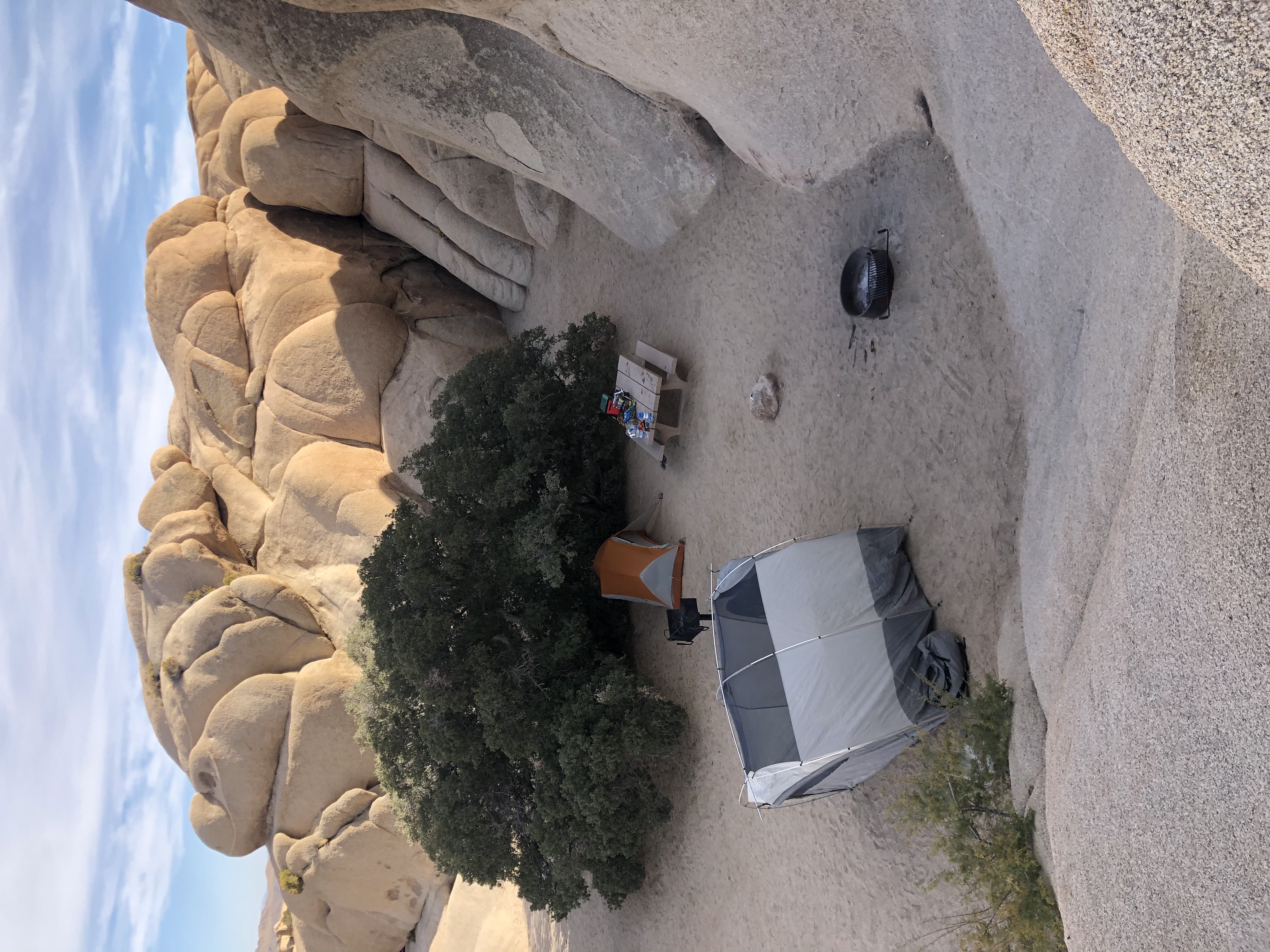 Camp at Joshua Tree's Jumbo Rocks