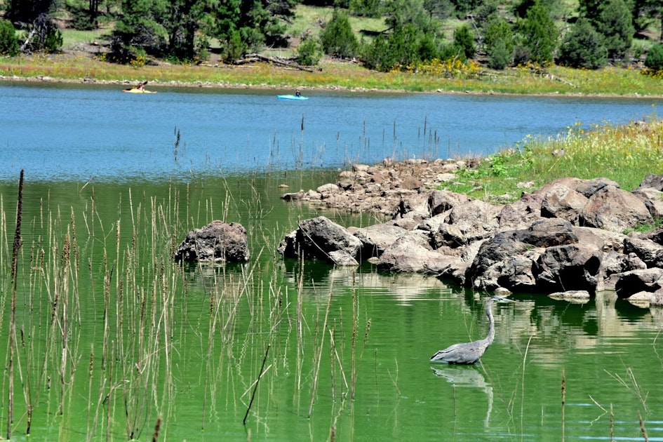 Kaibab Lake Sites And Group Areas
