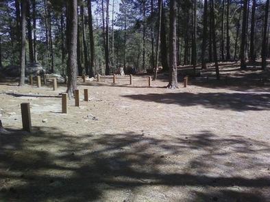 Lower Twilight Group Site