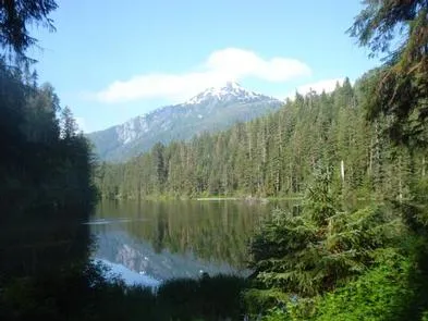 Wilson Narrows Cabin