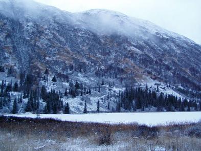 Swan Lake Cabin Seward