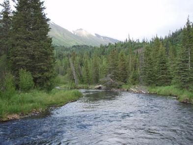 Lodging at Aspen Flats Cabin in Seward, Alaska
