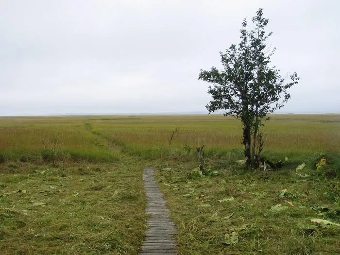 Koknuk Cabin