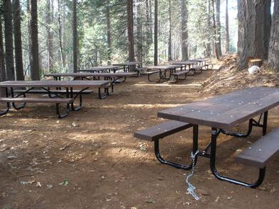 Ponderosa Cove Campground