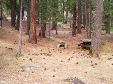 Stoney Group Shasta Trinity